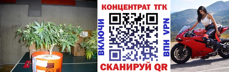 ОМГ ОМГ зеркало  Ельня  ТГК гашишное масло 