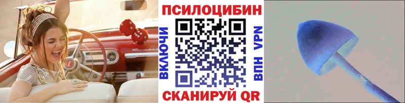 KRAKEN ссылки  Ельня  Псилоцибиновые грибы Magic Shrooms 